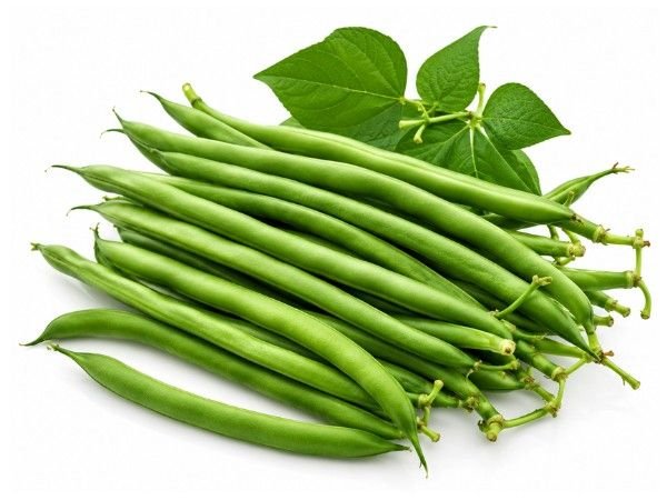 Fresh healthy green beans representing premium bean seeds
