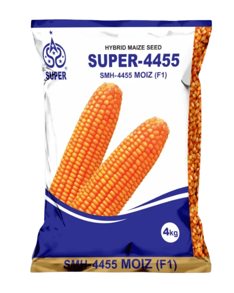 Hybrid maize seeds Super 4455 for healthy crop growth and reliable field performance