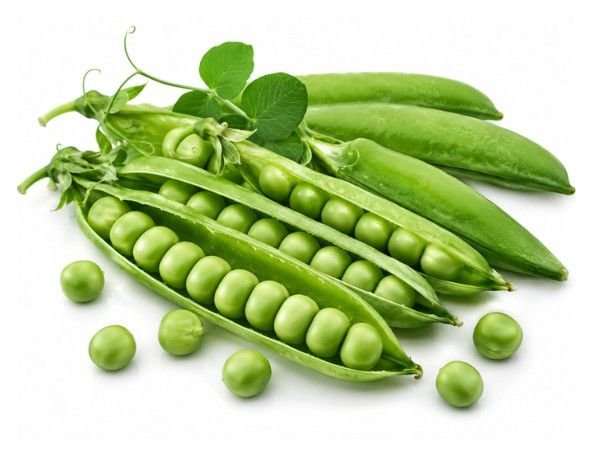 Fresh healthy green peas and pea pods representing premium pea seeds