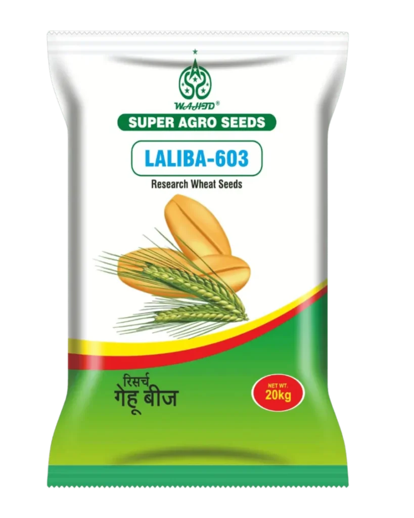LALIBA-603 Research Wheat Seeds packaging by Super Agro Seeds