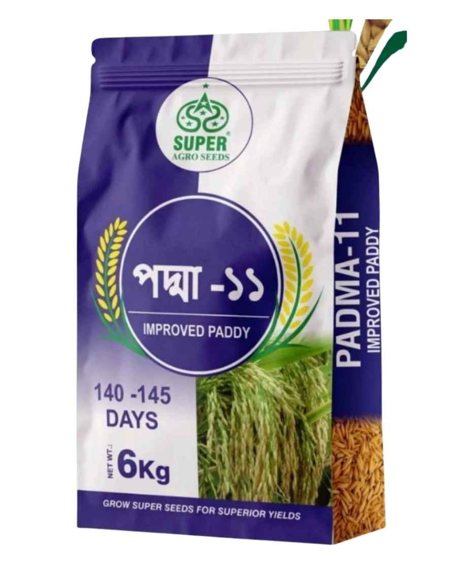 Padma 11 Improved paddy Seeds
