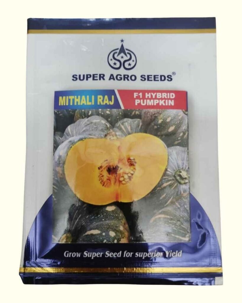 Wahid Super Agro Seeds F1 Hybrid Pumpkin Mithali Raj