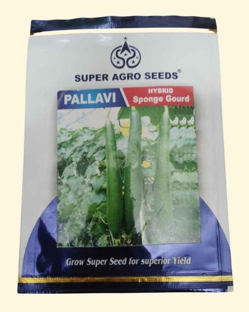 Wahid Super Agro Seeds Sponge Gourd