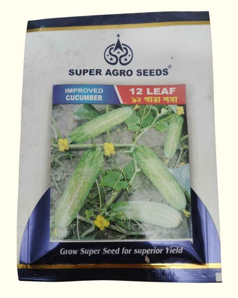 Improved Cucumber 12 Leaf seeds by Super Agro Seeds