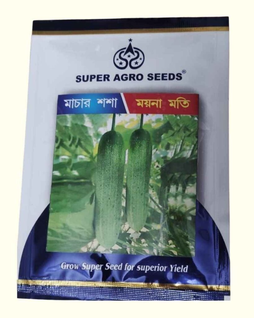 Improved Cucumber Moyna Moti seeds by Super Agro Seeds