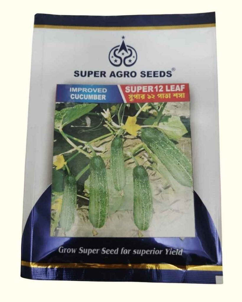Improved Cucumber Super 12 Leaf seeds by Wahid Super Agro Seeds