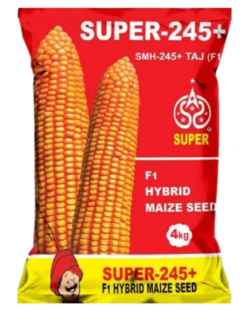 Wahid Super 245 Hybrid Maize Seeds
