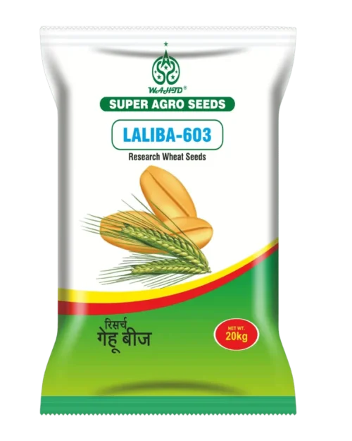 LALIBA-603 Research Wheat Seeds packaging by Super Agro Seeds